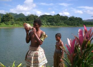 Qu’est-ce que le kava? Qu'est-ce que le kava?