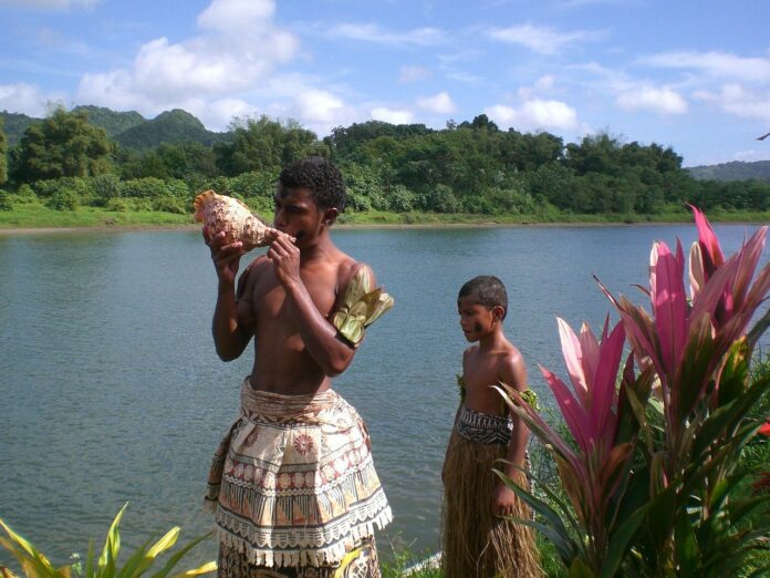 Qu'est-ce que le kava?