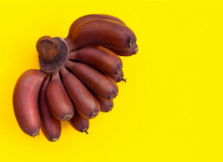 7 bienfaits et avantages de la banane rouge (et en quoi elle diffère des jaunes) Les avantages de la banane rougedes bananes rouges - medecinesdumondes.com