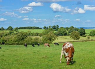 Le paradis Bio de Salzburgerland Le paradis Bio de Salzburgerland