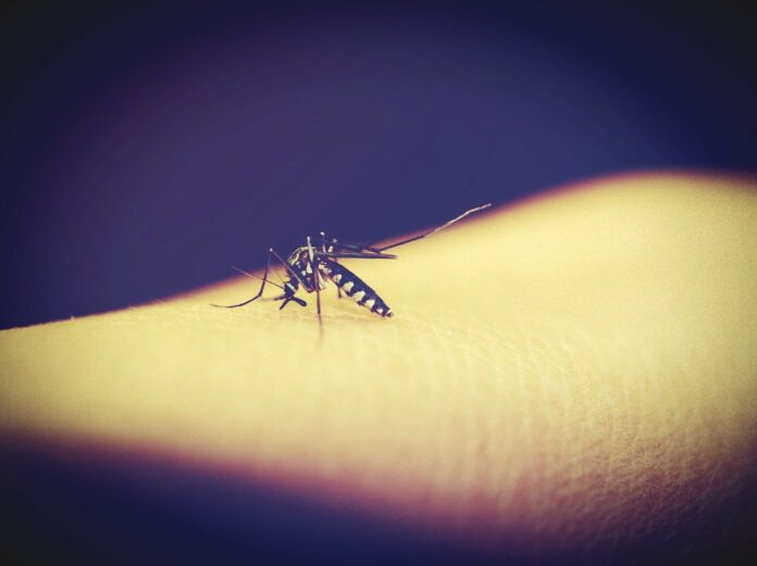 Les principales maladies tropicales