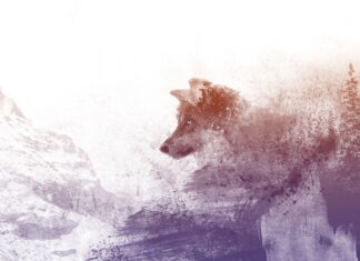 L’origine des animaux totem