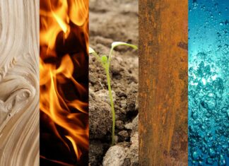 Qu’est-ce que la médecine Siddha et ses concepts ? Qu'est-ce que la médecine Siddha et ses concepts