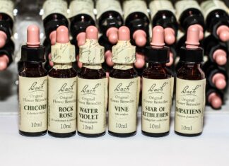 Les fleurs de Bach, ces élixirs venant de Grande-Bretagne Les fleurs de Bach, ces élixirs venant de Grande-Bretagne