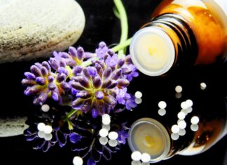 Les plantes africaines traditionnelles qui guérissent plantes africaines