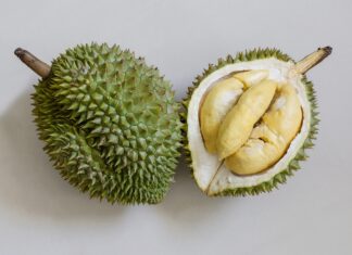 Le durian: quels sont les bienfaits de ce fruit à l’odeur puissante Le durian, quels sont les bienfaits de ce fruit à l'odeur puissante