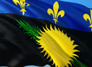 Direction Outre-mer ; à la découverte des plantes médicinales de Guadeloupe Direction Outre-mer ; à la découverte des plantes médicinales de Guadeloupe