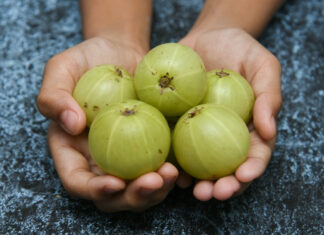 Amla : Pourquoi ce fruit indien est votre meilleur allié santé-beauté ? medecinesdumonde.com-medecines du monde-Amla pourquoi ce fruit indien est votre meilleur allié santé-beauté
