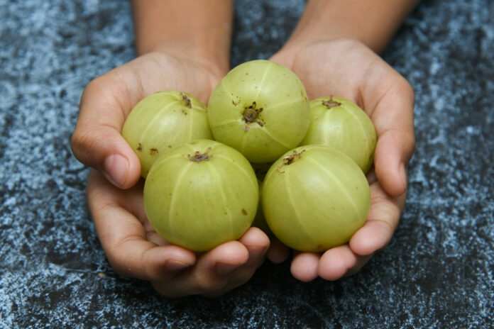 medecinesdumonde.com-medecines du monde-Amla pourquoi ce fruit indien est votre meilleur allié santé-beauté
