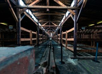 L’horreur des expérimentations médicales nazie durant la guerre expérimentation médicale nazie