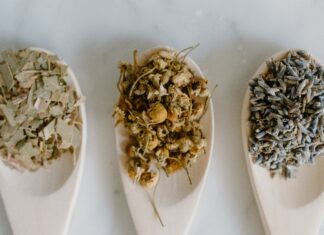 Les pratiques de la médecine Traditionnelle Persane : Utilisation de remèdes naturels Les pratiques de la médecine Traditionnelle Persane Utilisation de remèdes naturels