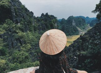 Les pratiques de la médecine Traditionnelle Vietnamienne : une combinaison de remèdes naturels et d’acupuncture Les pratiques de la médecine Traditionnelle Vietnamienne une combinaison de remèdes naturels et d'acupuncture