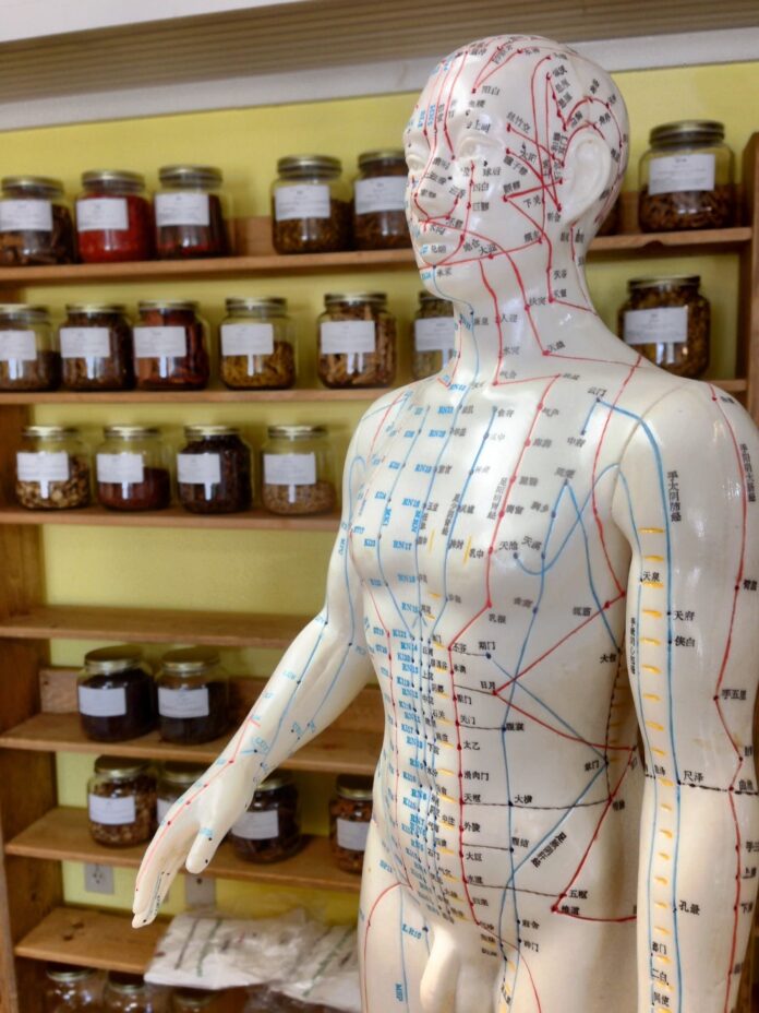 médecine traditionnelle en Corée