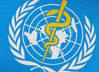 Le premier sommet mondial de l’OMS sur la médecine traditionnelle promouvoir la médecine traditionnelle