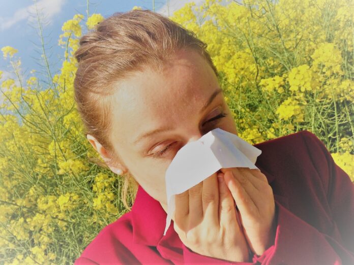 rhumes et allergies