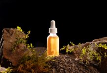 Les plantes naturelles utilisées dans les médicaments modernes incroyables plantes naturelles