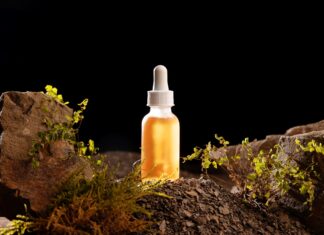 Les plantes naturelles utilisées dans les médicaments modernes incroyables plantes naturelles