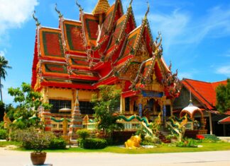 Découvrez les secrets de la médecine traditionnelle thaïlandaise