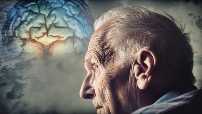 Méditation sur le vieillissement cérébral