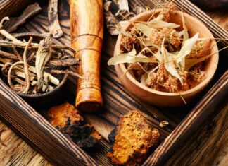 Phytothérapie au Sénégal, attention aux dérives Phytothérapie au Sénégal, attention aux dérives