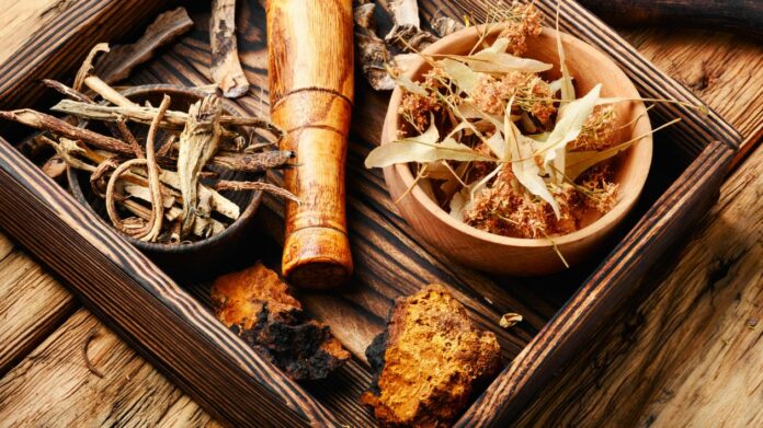 Phytothérapie au Sénégal, attention aux dérives