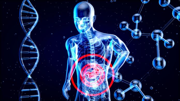 alimentation et santé