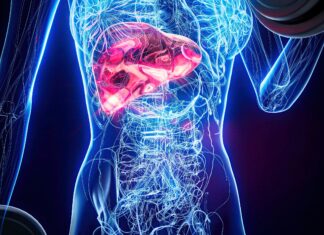 L’utilisation du big data révolutionne le traitement de l’embolie pulmonaire embolie pulmonaire