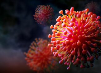 Après Omicron et Pirola, découvrez FLIRT, le nouveau variant du COVID-19 Après Omicron et Pirola, découvrez FLIRT, le nouveau variant du COVID-19