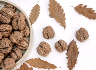 Pourquoi les noix sont-elles si bénéfiques pour la santé ? les noix