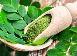 Le Moringa : l’arbre miracle de l’Inde Le Moringa l'arbre miracle de l'Inde