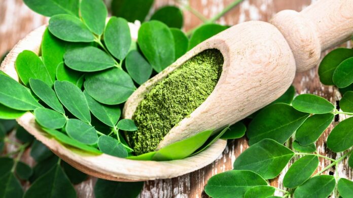 Le Moringa l'arbre miracle de l'Inde