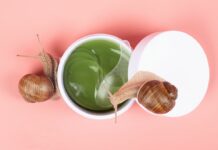 Les bienfaits pour la peau de la bave d’escargot Les bienfaits pour la peau de la bave d'escargot