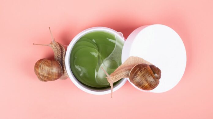Les bienfaits pour la peau de la bave d'escargot