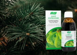 Santasapina : Le remède naturel aux saveurs de Noël Santasapina Le remède naturel aux saveurs de Noël