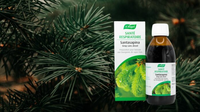 Santasapina Le remède naturel aux saveurs de Noël