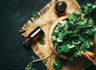 Les bienfaits de l’huile d’origan : Un trésor naturel pour la santé Les bienfaits de l’huile d’origan Un trésor naturel pour la santé