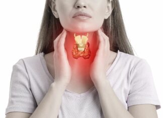 Problèmes de thyroïde : Comment la consommation de Noix du Brésil peut vous aider Problèmes de thyroïde Comment la consommation de Noix du Brésil peut vous aider
