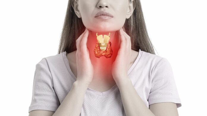 Problèmes de thyroïde Comment la consommation de Noix du Brésil peut vous aider