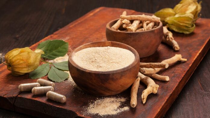 Ashwagandha la racine miracle de l’Ayurvéda