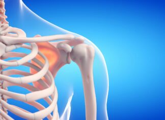 Cette plante guérie vos os Cette plante africaine guérie vos os