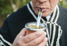 Médecine mapuche : les plantes sacrées du Chili que le monde occidental ignore Médecine mapuche les plantes sacrées du Chili que le monde occidental ignore