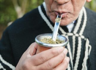 Médecine mapuche : les plantes sacrées du Chili que le monde occidental ignore Médecine mapuche les plantes sacrées du Chili que le monde occidental ignore