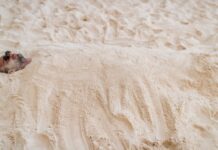 Psammatothérapie : une médecine naturelle méconnue venue d’Égypte et du Japon Psammatothérapie une médecine naturelle méconnue venue d’Égypte et du Japon