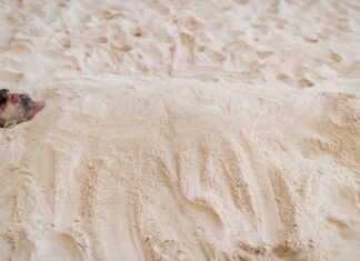 Psammatothérapie : une médecine naturelle méconnue venue d’Égypte et du Japon Psammatothérapie une médecine naturelle méconnue venue d’Égypte et du Japon