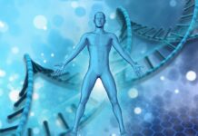 Retrouver l’harmonie : connexion avec la nature dans les médecines du monde nature médecines du monde