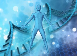 Retrouver l’harmonie : connexion avec la nature dans les médecines du monde nature médecines du monde