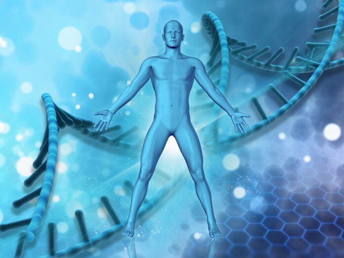 Retrouver l’harmonie, connexion avec la nature dans les médecines du monde nature médecines du monde