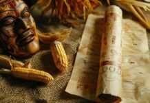 Médecine traditionnelle de Nouvelle-Guinée, approche durable de la santé Médecine traditionnelle de Nouvelle-Guinée