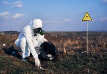 Champignons noirs de Tchernobyl comment des fungi survivants mangent la radioactivité et inspirent la science Champignons noirs de Tchernobyl