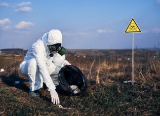Champignons noirs de Tchernobyl comment des fungi survivants mangent la radioactivité et inspirent la science Champignons noirs de Tchernobyl
